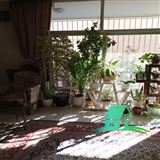 کد1213 (معاوضه آپارتمان با ویلایی دوطبقه خیابان نشاط شمالی)